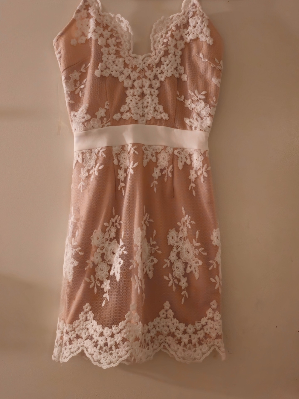 Charlotte Russe Blush Pink Lace-Trim Mini Dress